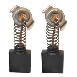 ESCOBILLAS RYOBI  G2320  -...